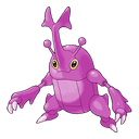 Heracross