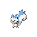Pachirisu