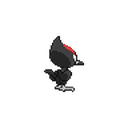 Pikipek