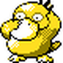 Psyduck