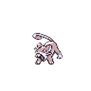Rattata
