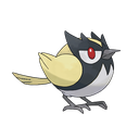 Rookidee
