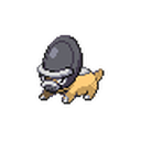 Shieldon
