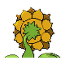Sunflora