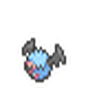 Woobat